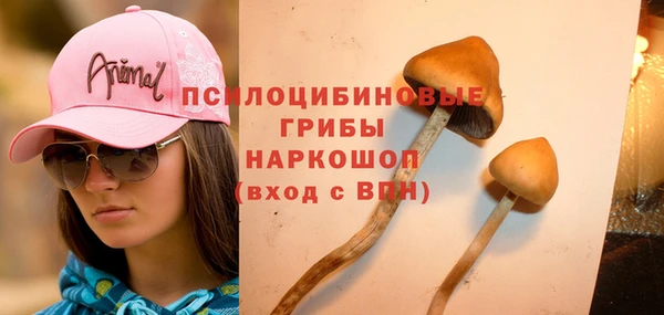 кокс Магас