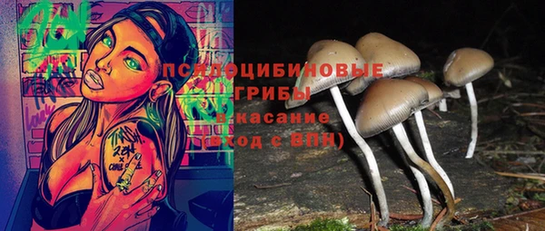 кокс Магас